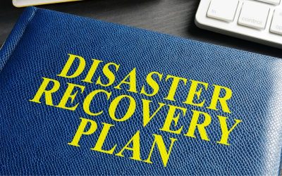 Disaster Preparedness for Business Recovery
